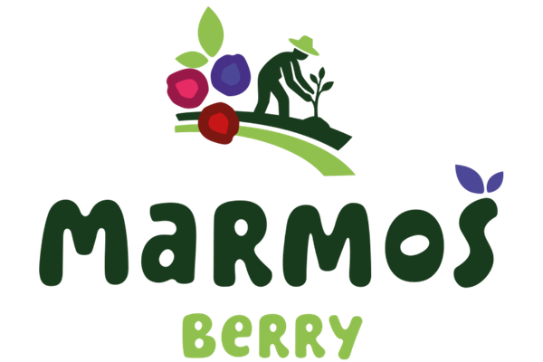 Marmos Berry